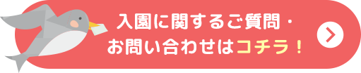 入園に関するご質問・お問い合わせはコチラ！