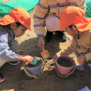 砂でアリの家づくり。お友だちと協力してつくっているのですが、息がピッタリなんです！