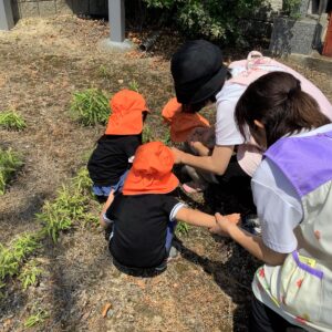 しゃがんで地面を見ると…アリさんを発見！