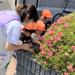 花壇のお花に夢中のようです。