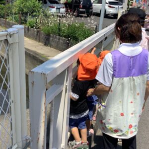 川にはお魚が住んでいて、何匹いるか数えて教えてくれました。