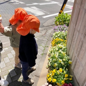 黄色の花を見て話す子どもたち