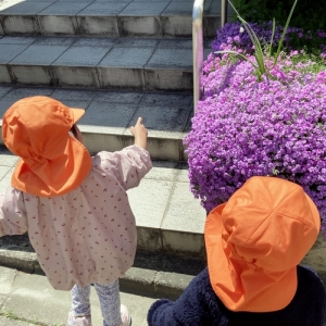 紫色の花を指さす子ども