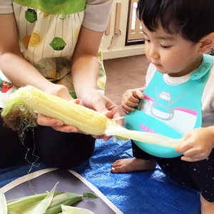 トウモロコシの皮をひっぱる子ども