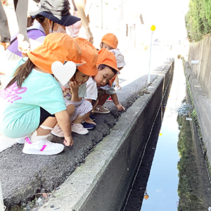 水路をのぞいて生き物を観察をする子どもたち