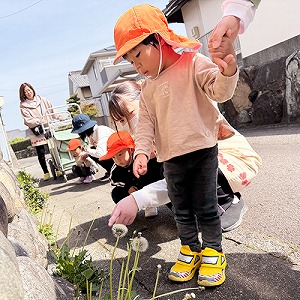 散歩への道中たんぽぽをみつける子ども