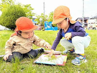 白い紙に植物を置いていく子どもたち