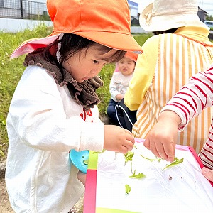 公園で植物を摘んで植物フレームを作る子ども