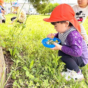 公園で花を摘む子ども