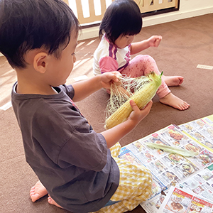 とうもろこしの皮を剥く子どもたち