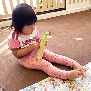 黙々ととうもろこしの皮を剝く子ども