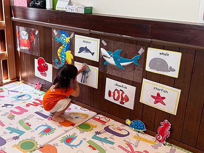 海の生きものマッチングに挑戦する子ども