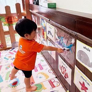 海の生きものマッチングに挑戦する子ども